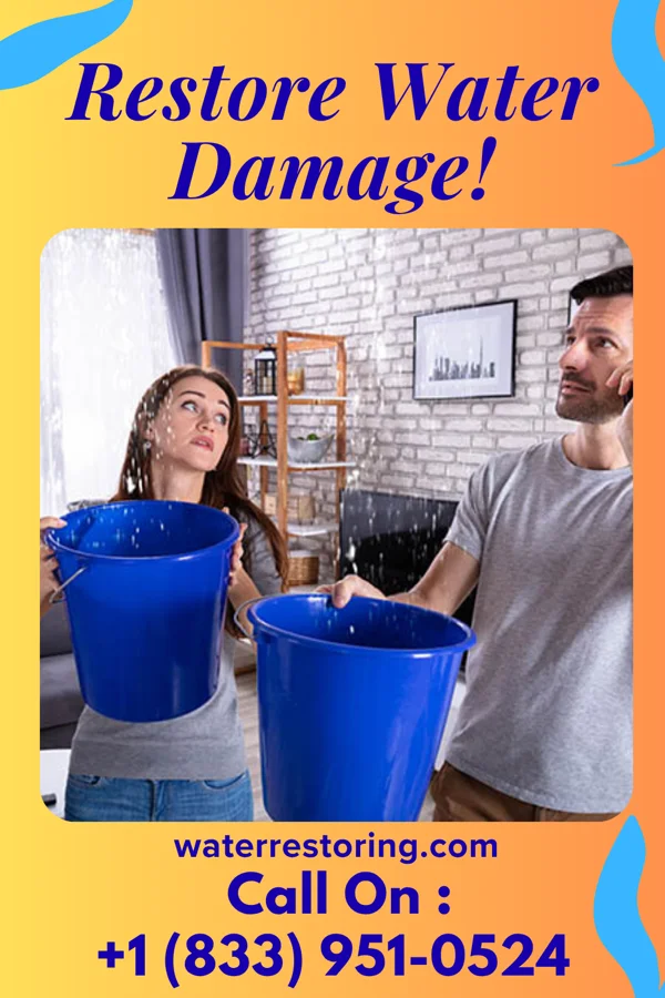 water restoration Prestige Flood Cleanup Inc Skippers Corner