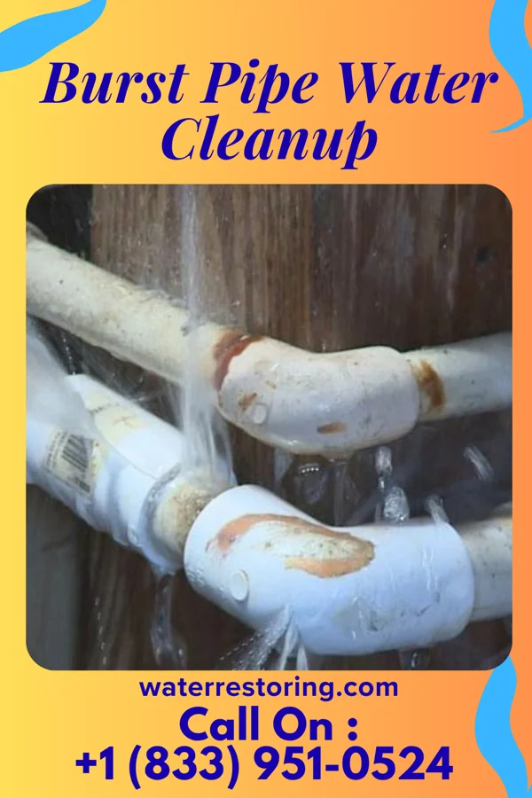 Burst Pipe Water Cleanup in Skippers Corner, NC