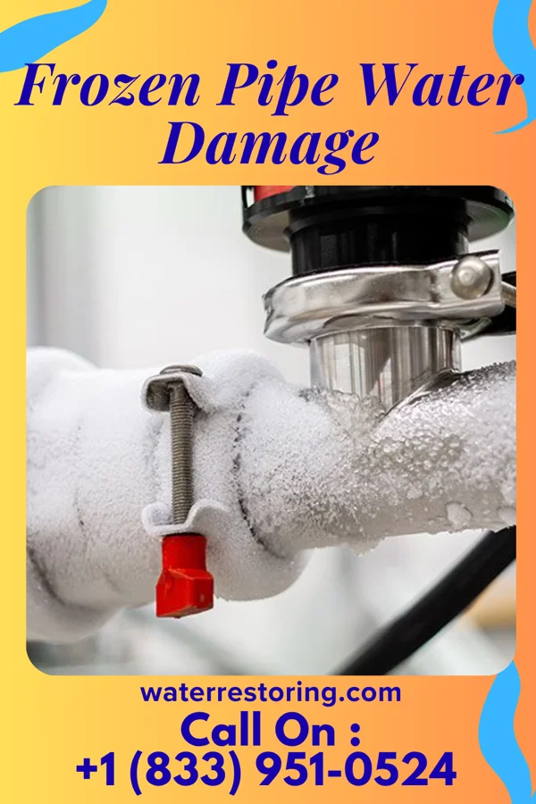 Frozen Pipe Water Damage in Skippers Corner, NC