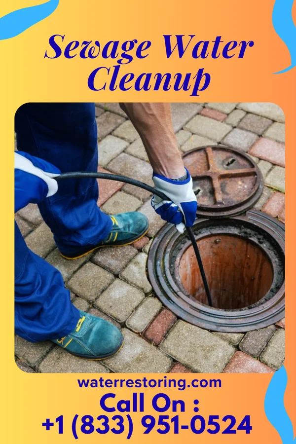 Sewage Water Cleanup in Skippers Corner, NC